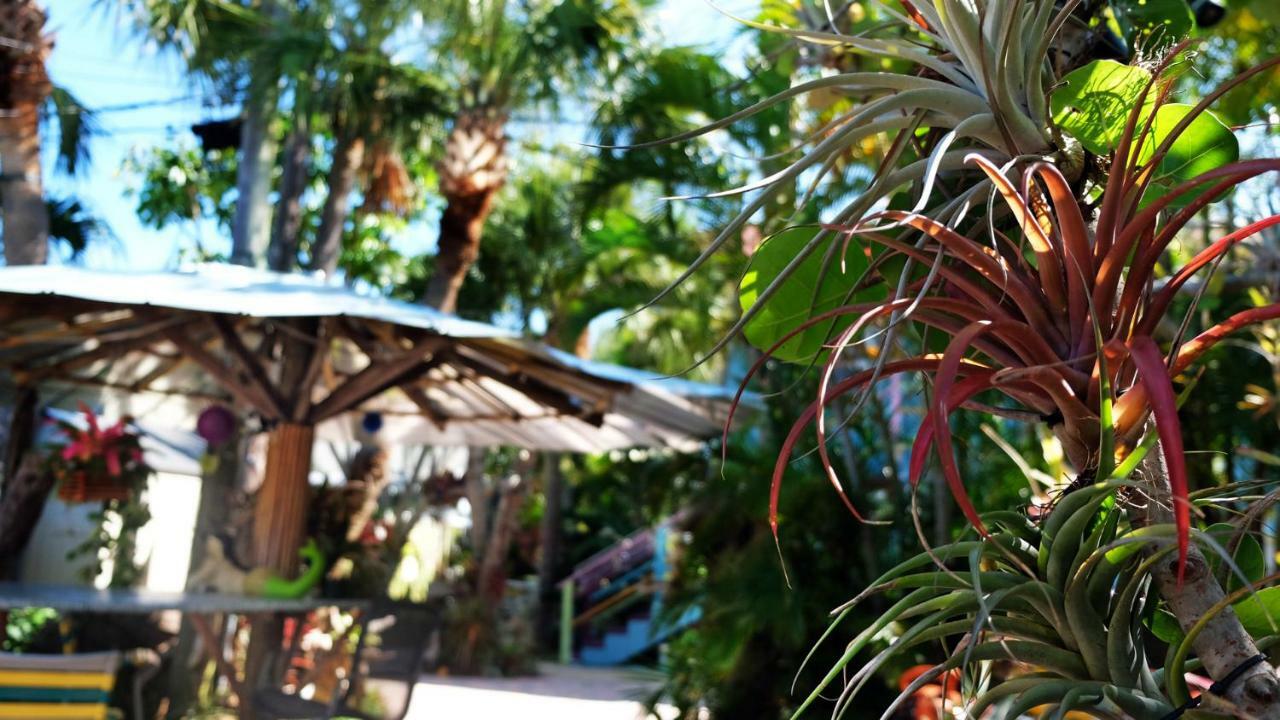 Beachpoint Cottages Siesta Key Dış mekan fotoğraf