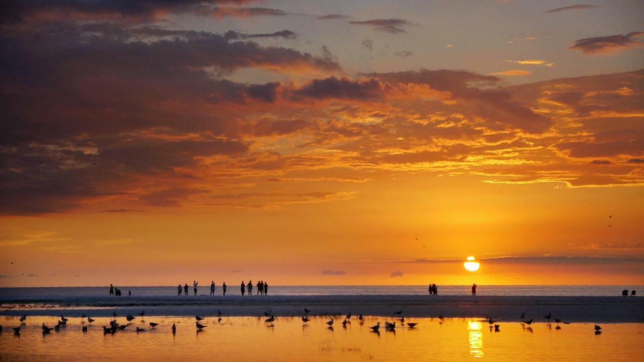 Beachpoint Cottages Siesta Key Dış mekan fotoğraf